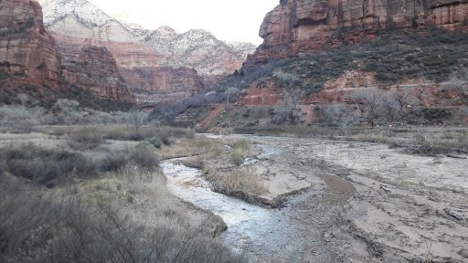 Zion National Park