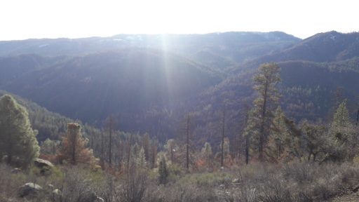Yosemite views